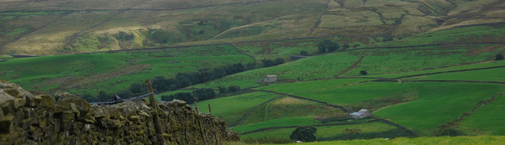 A network fields and moorland seperated by dry stone walls