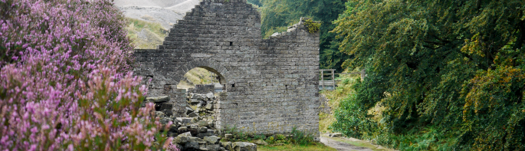 A close up of some of the remains of Prosperous Smelt Mill