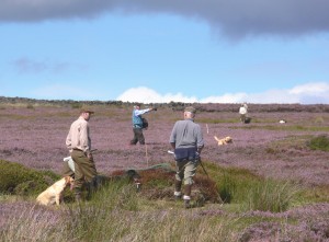 Beaters at a grouse shoot