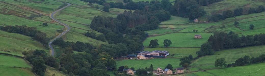 A farm nestled amongst fields and trees in Upper Nidderdale