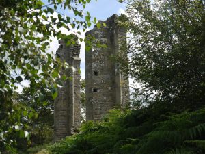 Looking up through the trees towards the towers of Yorke's Folly