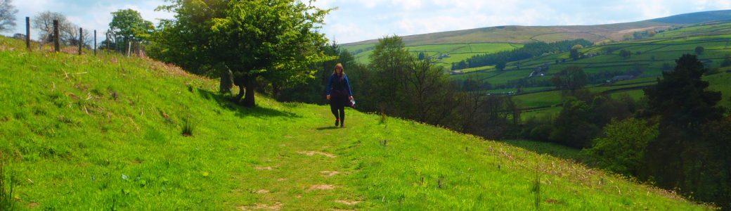 A person walking along a field footpath with a tree to one side and a valley to the other side